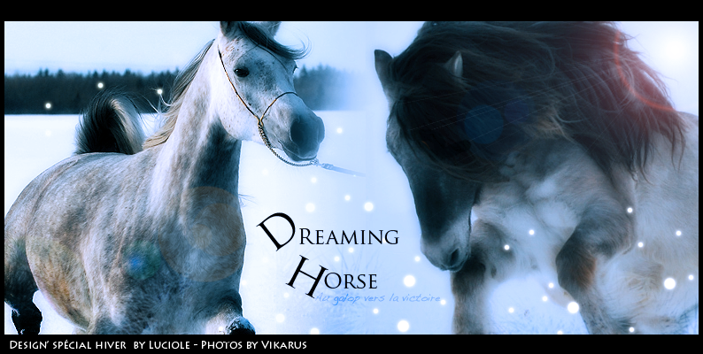Dreaming Horse