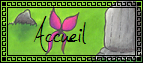Accueil