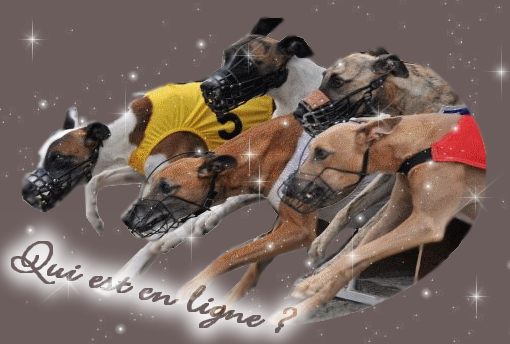 Qui est en ligne ?