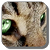 LGDC - Legendary Warriors 1300631470074012900