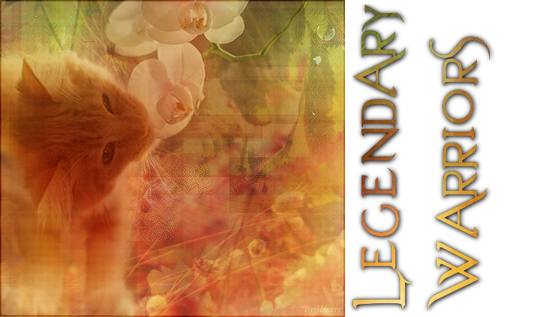 LGDC - Legendary Warriors