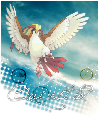 Qui est en ligne ?