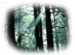 http://www.pixenli.com/images/1316355922057800900.png