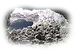 http://www.pixenli.com/images/1316356927045513800.png
