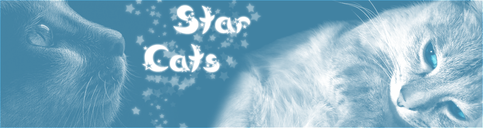 Star Cats