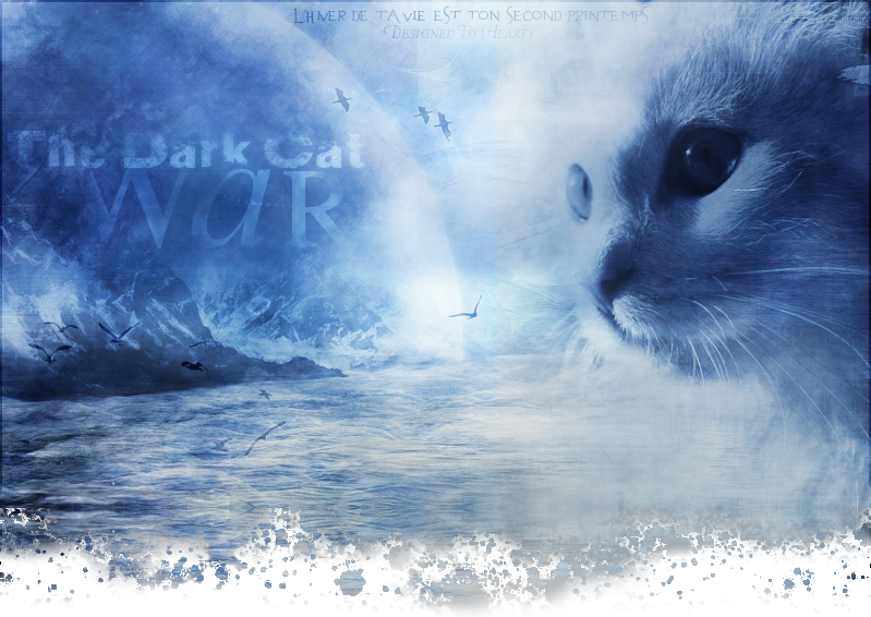 Dark Cat War