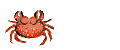 Salut aux FMVs de Ptit crabe 1327248965021420100