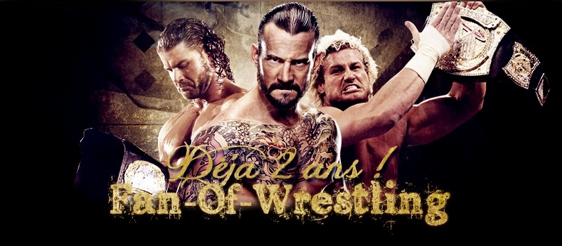 Fan-Of-Wrestling