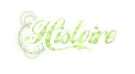 Histoire