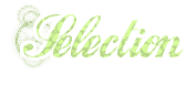 Sélection