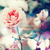 Jardins