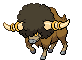 Buffle Buffle