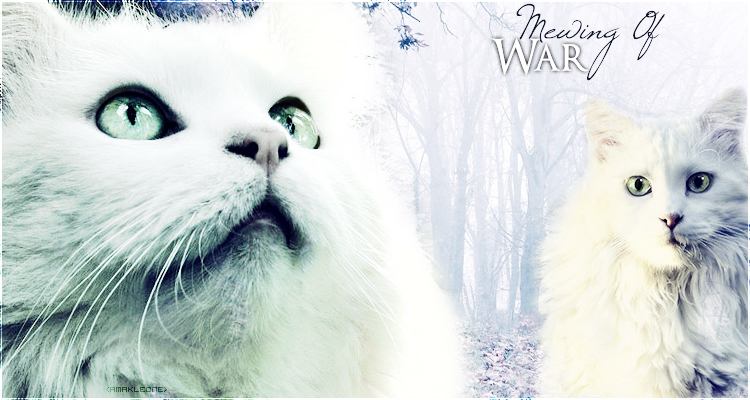 Mewing of War