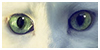 Nouveaux messages