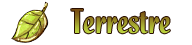 Poney terrestre Poney terrestre