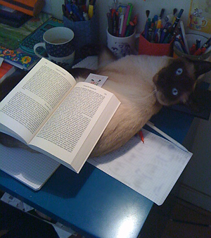 Les animaux de compagnie (Trombinoscope, etc...) 1377462656097170000