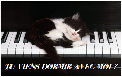 nimga.fr - Héberger images 468,60.png