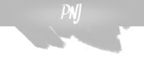 PNJ PNJ