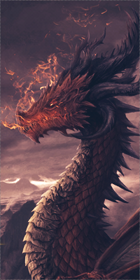 Petit Dragon - Chaton - Mâle 1416763968004316700