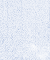Pas de nouveaux messages Pas de nouveaux messages