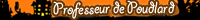 Professeur De Métamorphose Professeur De Métamorphose