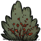 1451473228030534100.png