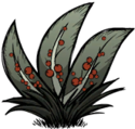 1451473246060277000.png
