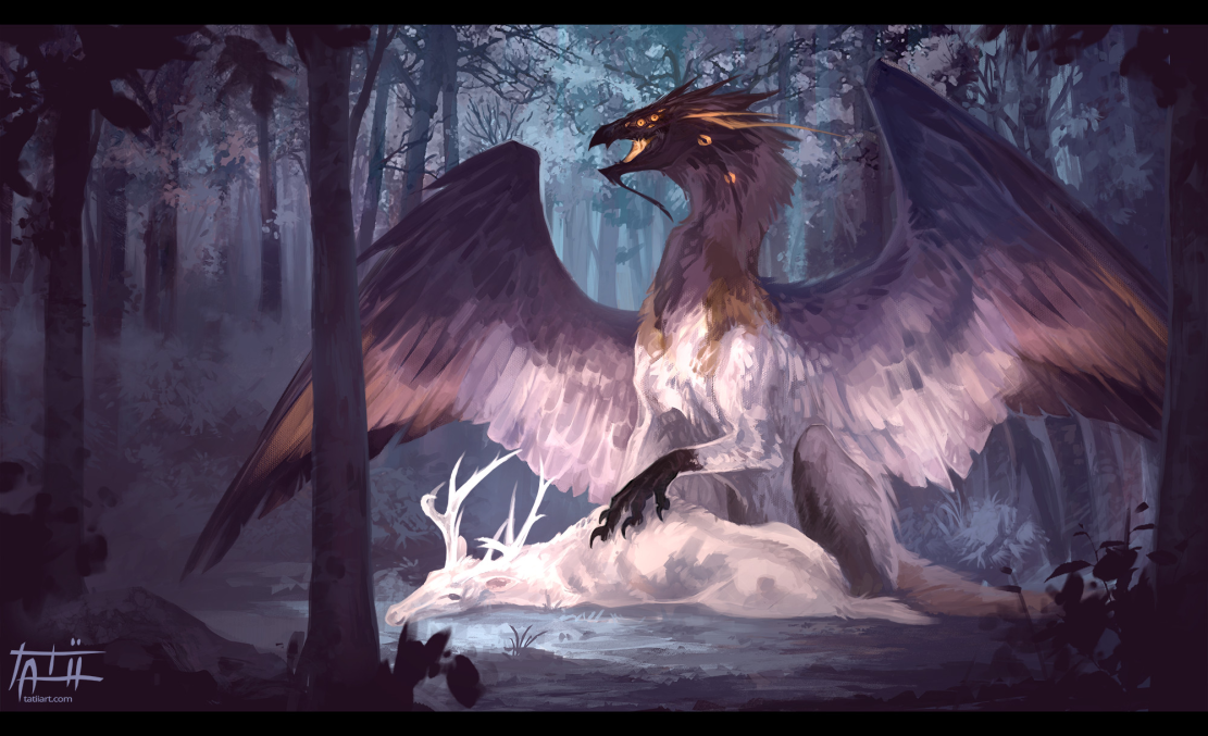 Ange Dragon