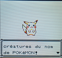 Pokémon jaune - soluce complète- Bourg-Palette à Argenta 1471514719009783000