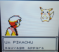 Pokémon jaune - soluce complète- Bourg-Palette à Argenta 1471515877029721200