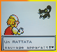 Pokémon jaune - soluce complète- Bourg-Palette à Argenta 1471527159056449500