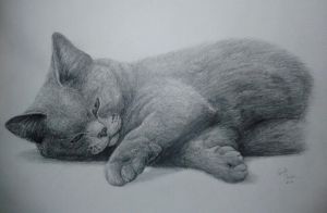 Miniature
