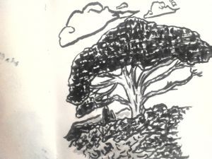 Miniature