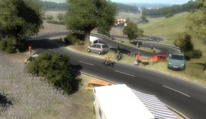 Miniature