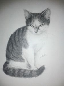 Miniature