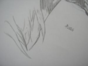Miniature