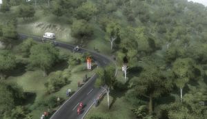 Miniature