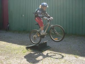 Miniature