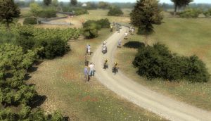 Miniature