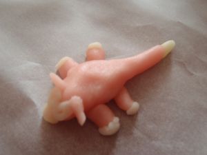 Miniature