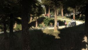 Miniature