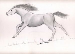 Miniature