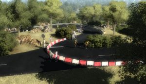 Miniature