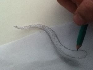 Miniature