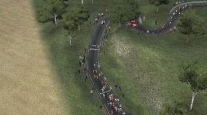Miniature