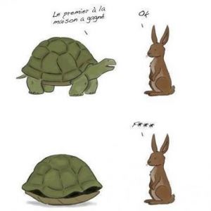 Miniature