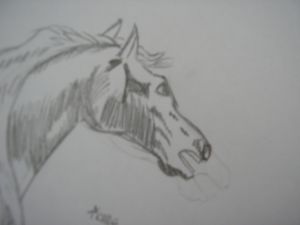 Miniature