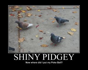 Miniature