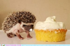 Miniature