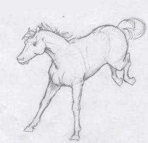 Miniature